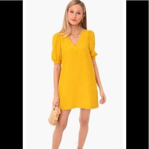 BB Dakota dress size medium. EUC